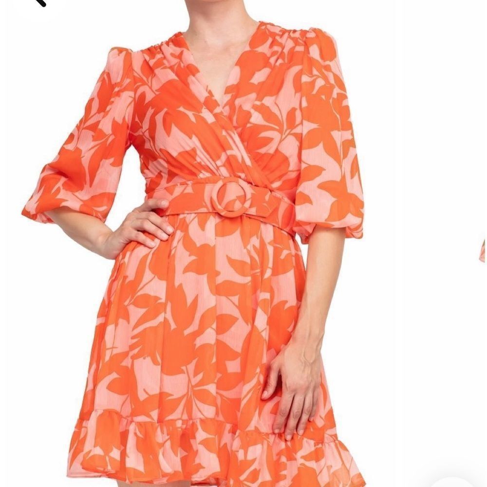 Taylor Floral mini chiffon floral Dress 2